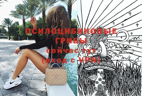 гашик Покачи