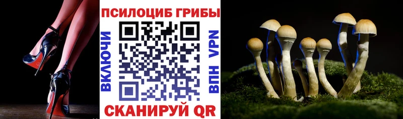 Купить  Агидель  Псилоцибиновые грибы GOLDEN TEACHER 